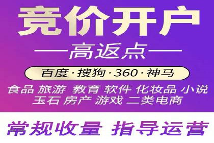 实战技巧：竞价推广案例解析与优化策略